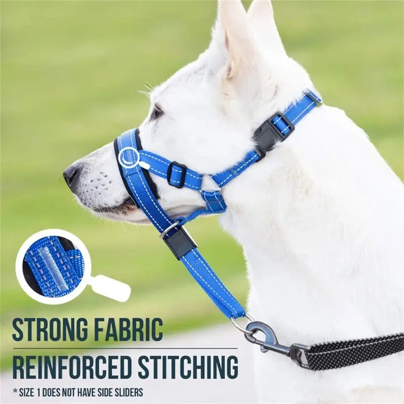 Dog Halter Training Head Collar